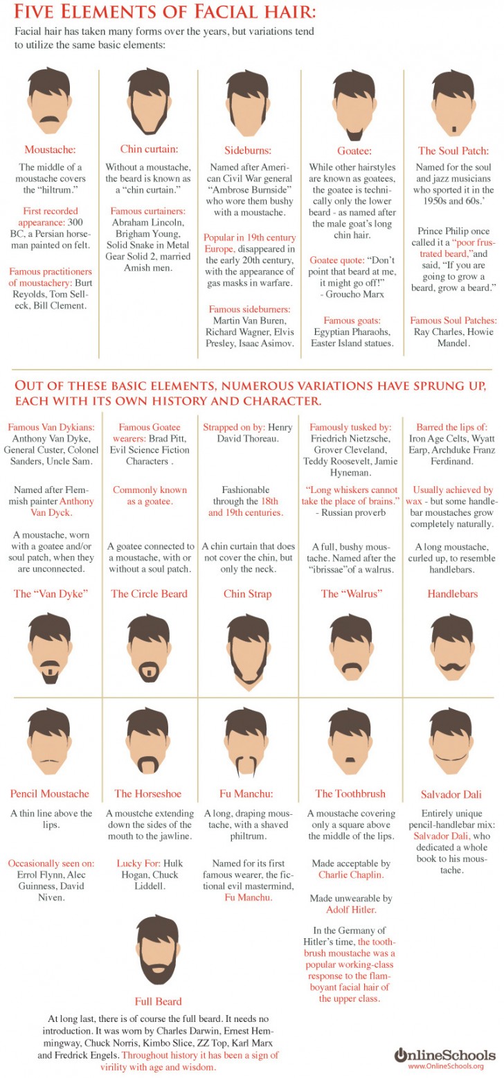 Movember Beard Styles » ChartGeek.com