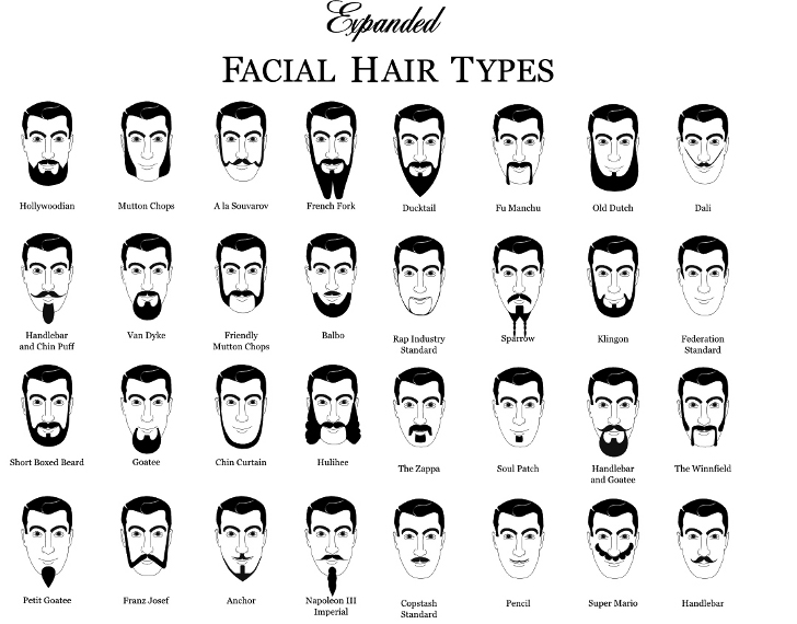 Mustache Beard Styles Chart